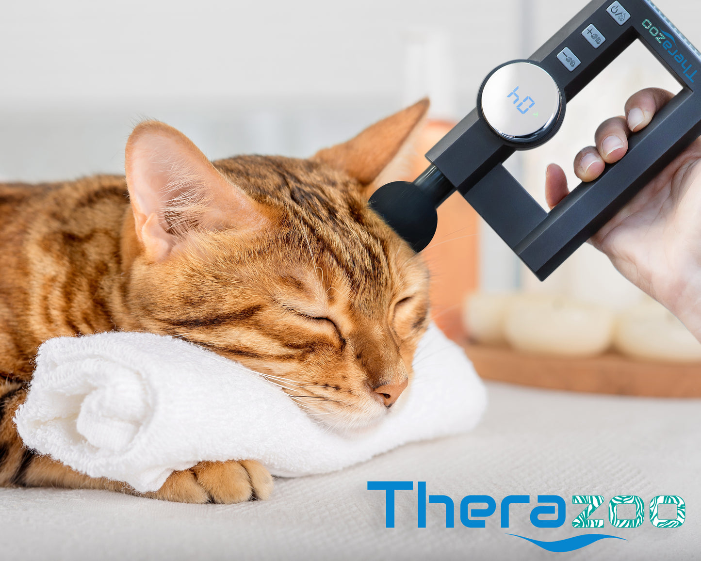 Therazoo Pro Low RPM Massage Gun